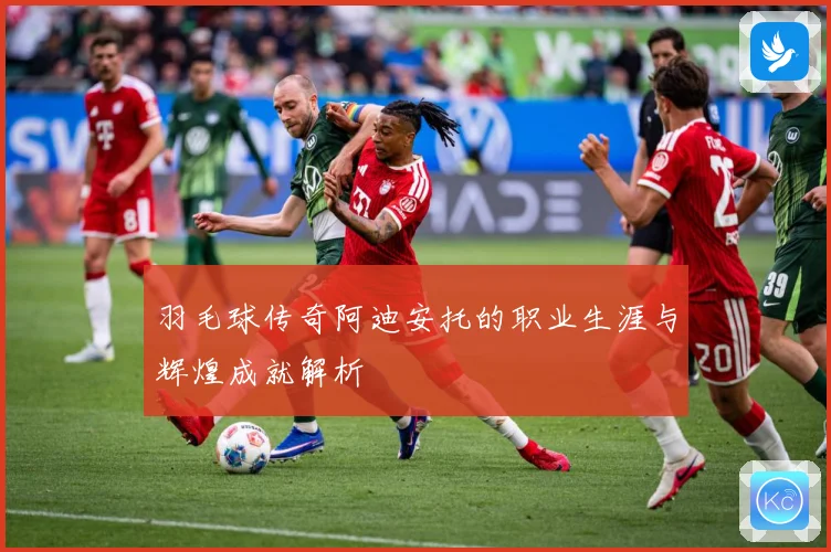 羽毛球传奇阿迪安托的职业生涯与辉煌成就解析